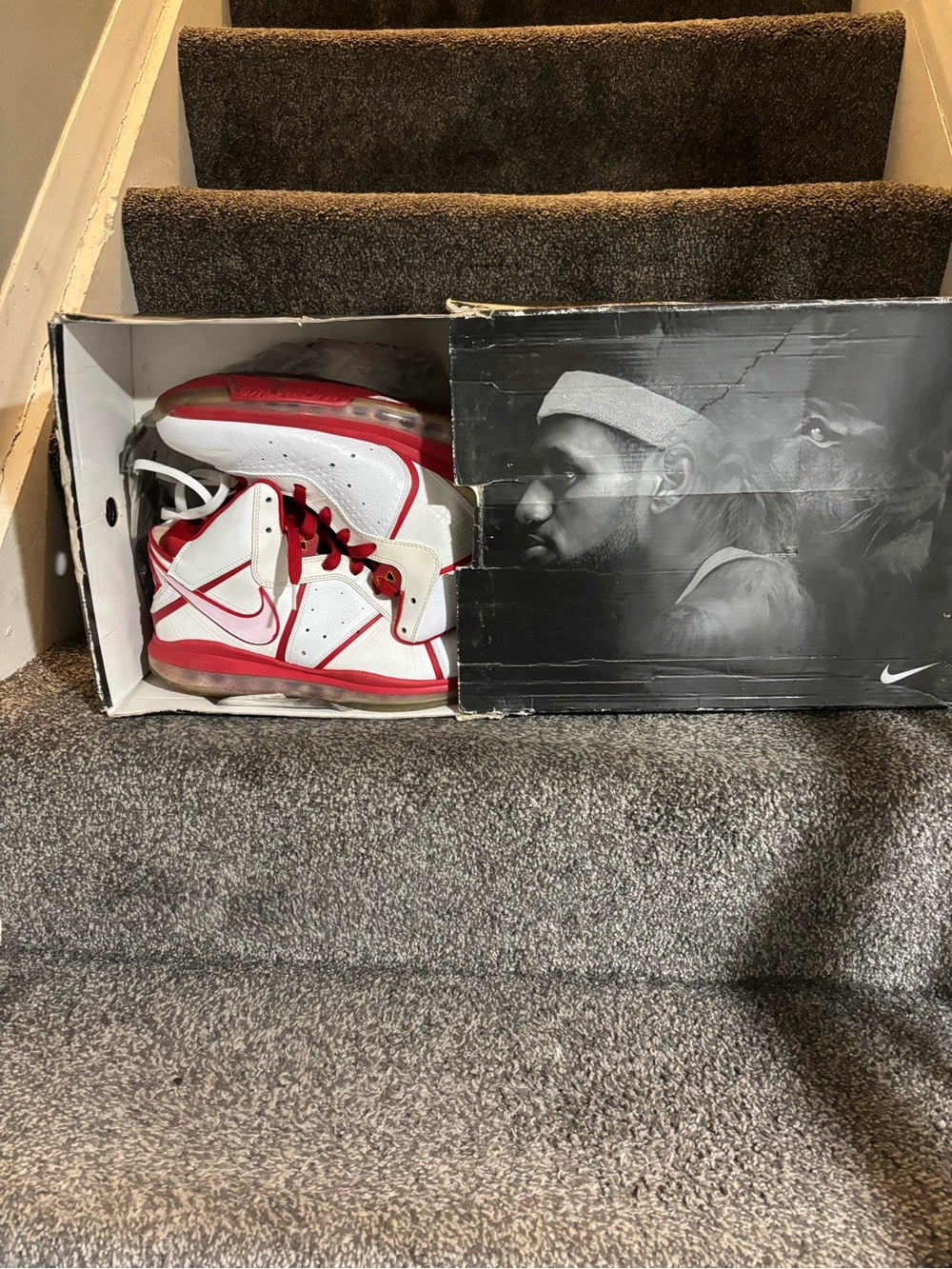 Nike LeBron 8 China size 13